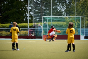 Foto: Nico Rinno