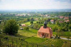 Malerisch gelegener Hockeyplatz in Pillnitz