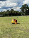 Hockey: MU10 in der Endrunde!